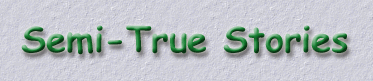 Semi-True Stories